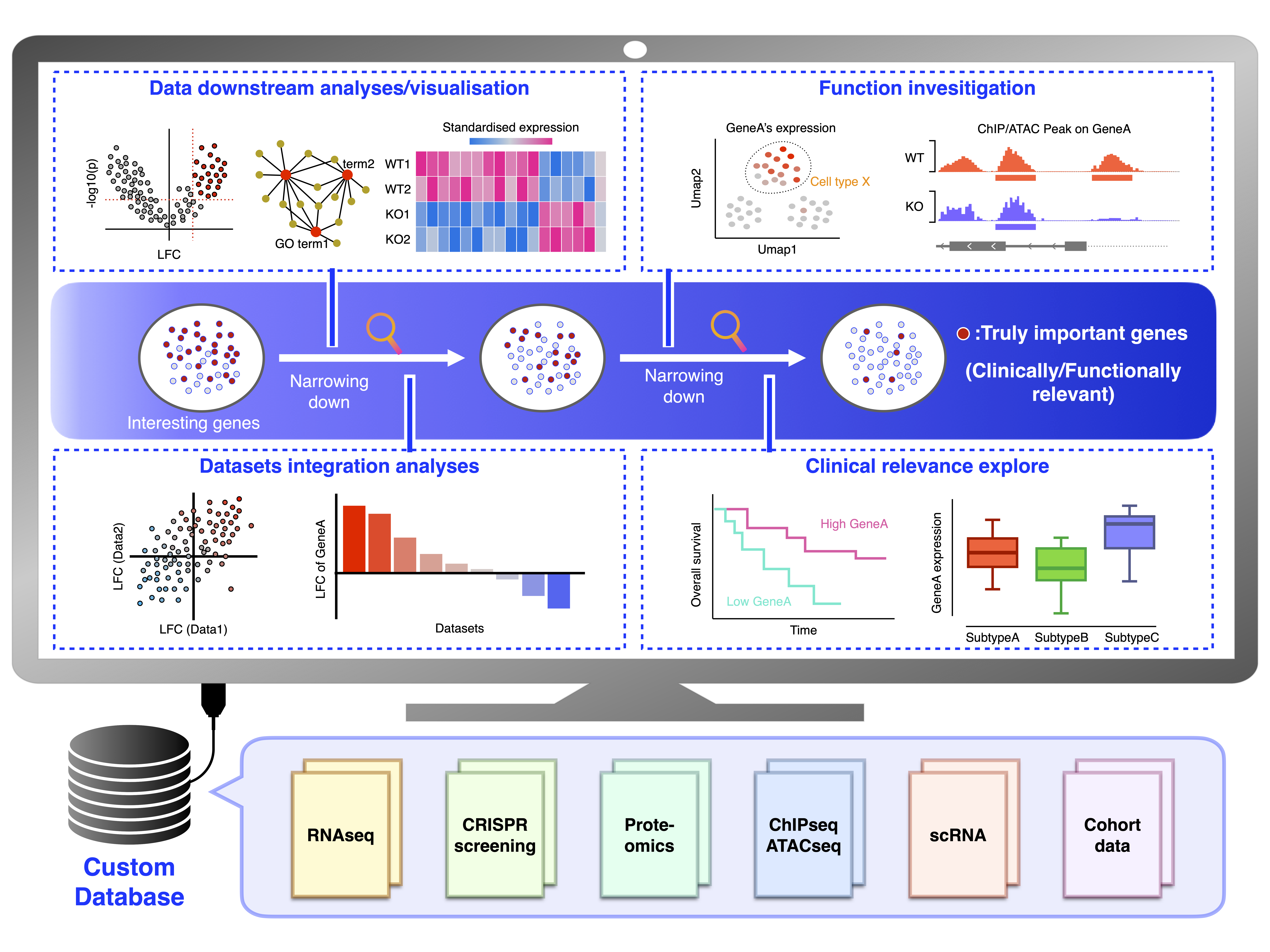 Interface overview